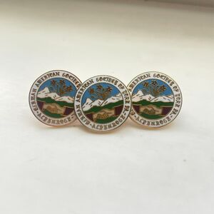 Vintage Lot of 3 German American Society of York, PA Metal Lapel / Hat Pins